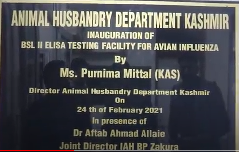 IAH BP of Animal Husbandry Department Kashmir Starts Bird Flu Testing Lab -  Kashmir News Bureau